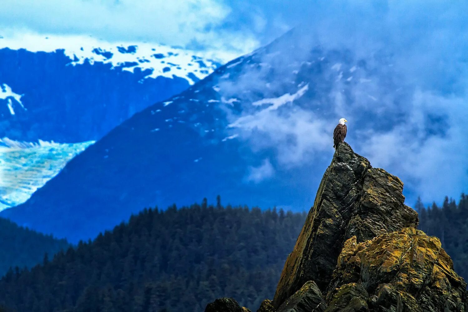 Higher mountains. Гора Отис. Беркут горы на темном фоне. Mountain Eagle. Blue Mountain Eagle (1970).