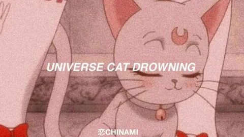 Kikuo universe cat