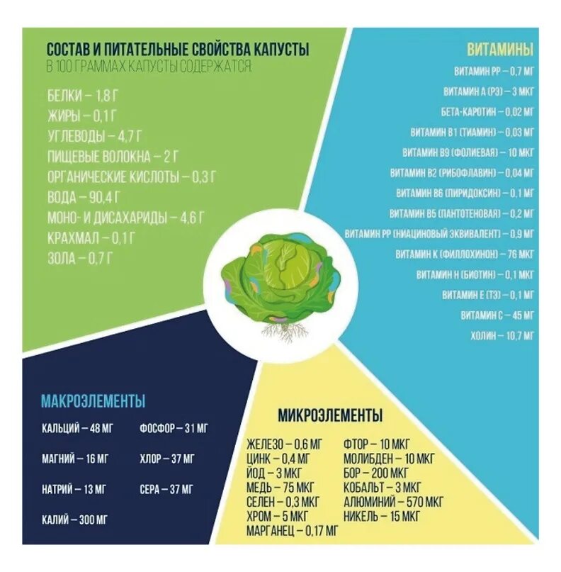 Сколько калорий в 100 граммах капусты свежей. Капуста белокач калорийность на 100 грамм. Когда можно давать капусту ребенку. Капуста белокочанная КБЖУ. Калорийность капусты белокочанной свежей.