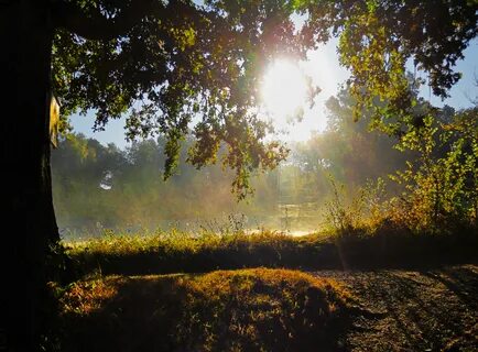 Morning light