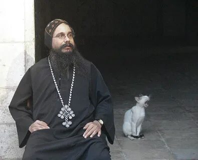 Кот монах