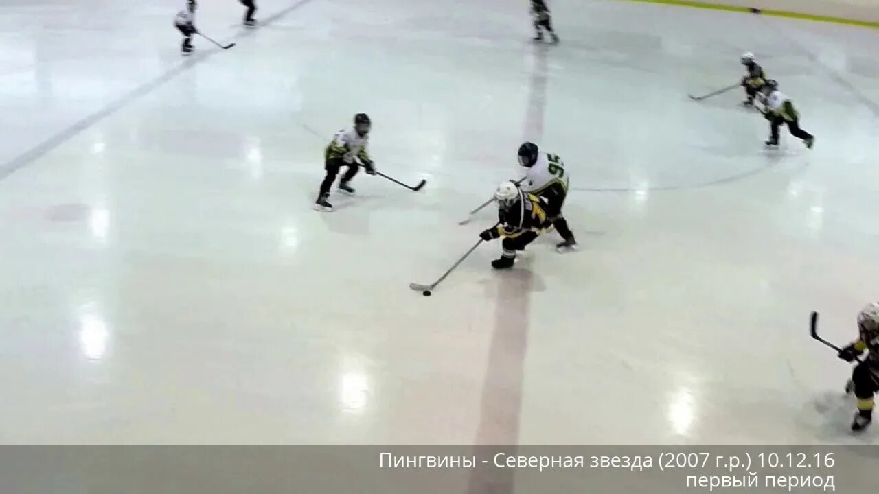 Первая северная звезда. Северная звезда 2007 хоккей состав. ФСО хоккей Москвы 2007. Пингвины 2007. Пингвины Москва хоккей 2010.