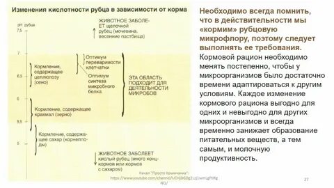 Сокращение рубца