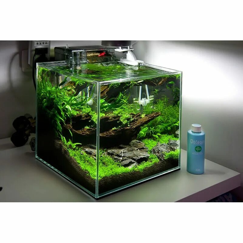 Креветочник 30 литров. Аквариум dennerle nano cube. Аквариум нано куб 10 литров. Креветочник нанокуб. Креветочник куб 30 литров.