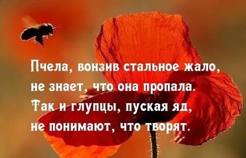 Жизнь иногда выпускает жало