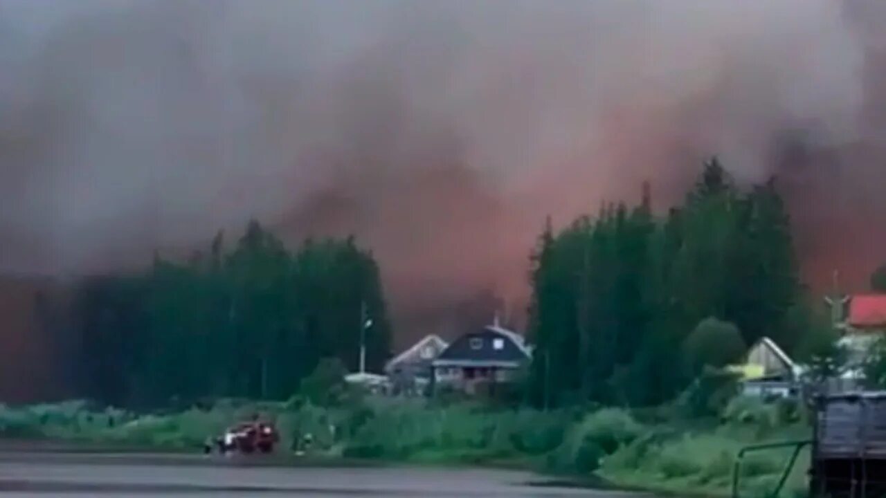 Шагол су сгорел. Пожары в Якутии. Лесные пожары в Якутии. Лес после пожара. Пожары в Якутии 2022.