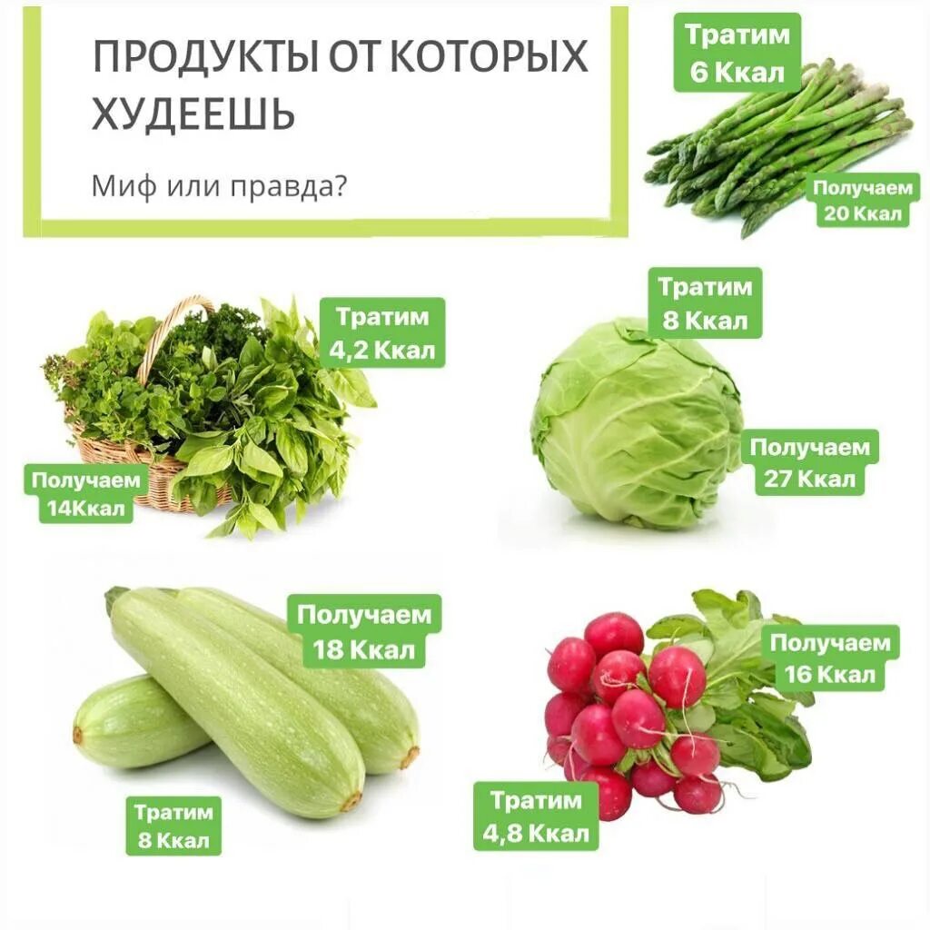 Продукты с 0 калорийностью. Овощ с минусовыми калориями. Отрицательная калорийность. Овощи с отрицательными калориями. Продукты с отрицательной ккал.