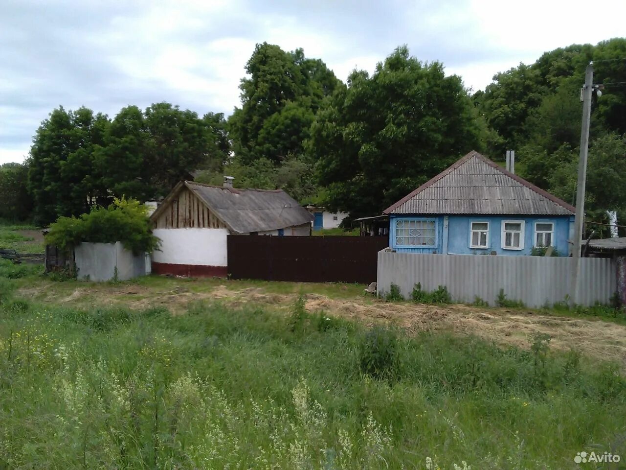 Погода орлик чернянский белгородская область. Погода орлик чернянский белгородская область. Орликовская буренушка. Орлик белгородская область чернянский. Погода орлик чернянский белгородская область.