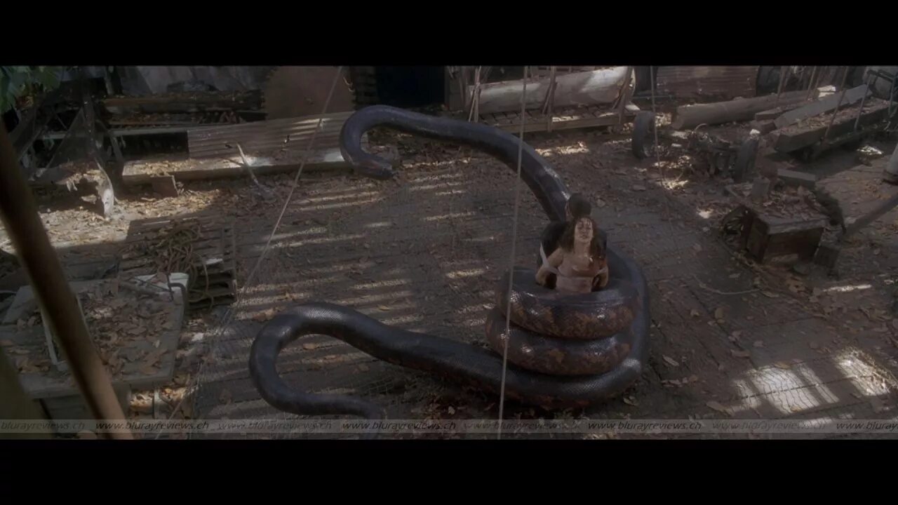 Anaconda 1997. Анаконда 2. Анаконда да винчи