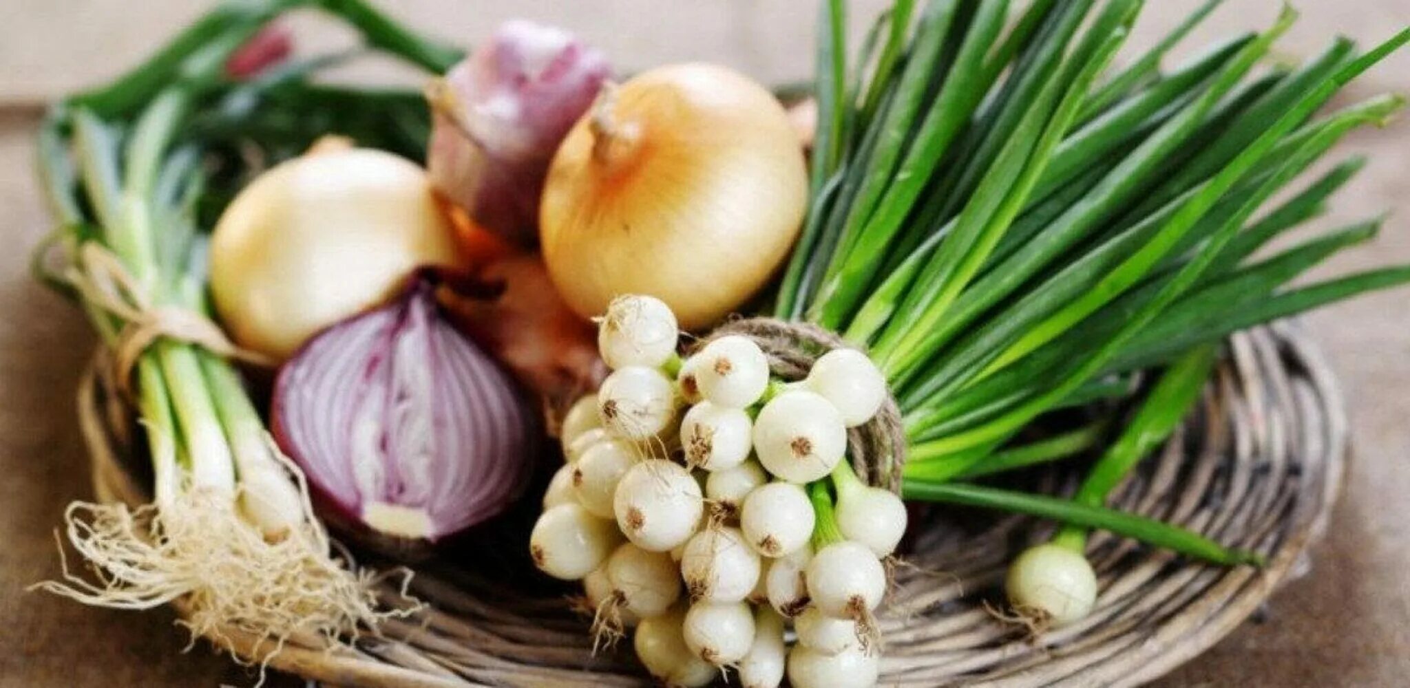 Сырой лук. Лук (репчатый, шалот, порей, шнитт-лук, порей). лук шалот и лук порей. луковые овощи. лук репчатый и зеленый.