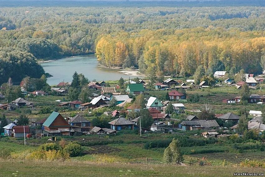 Села алтайского края. Деревня шукшина село сростки. деревня сростки родина шукшина. село сростки алтайский край шукшин. родина шукшина село сростки алтайского края.