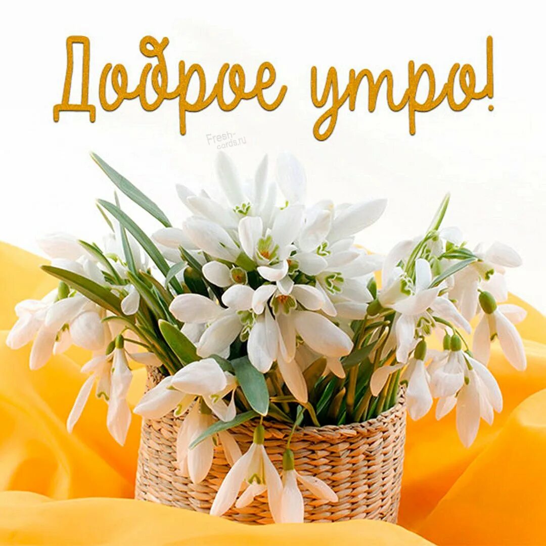 Доброе утро новинки весенние
