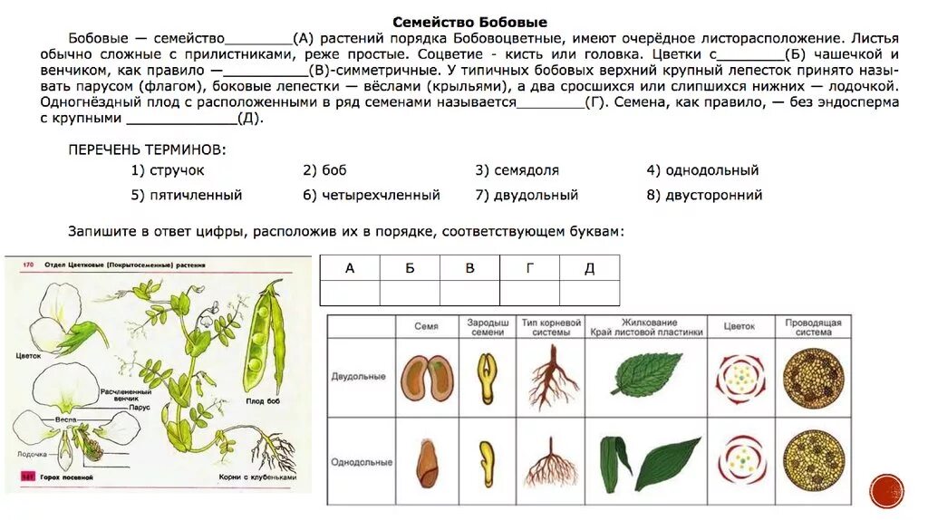 Тест биология однодольные и двудольные. Биология таблица признаки семейств цветковых растений. Признаки семейств покрытосеменных растений. Таблица семейства цветковых растений двудольные и Однодольные. Семейства двудольных растений ЕГЭ.