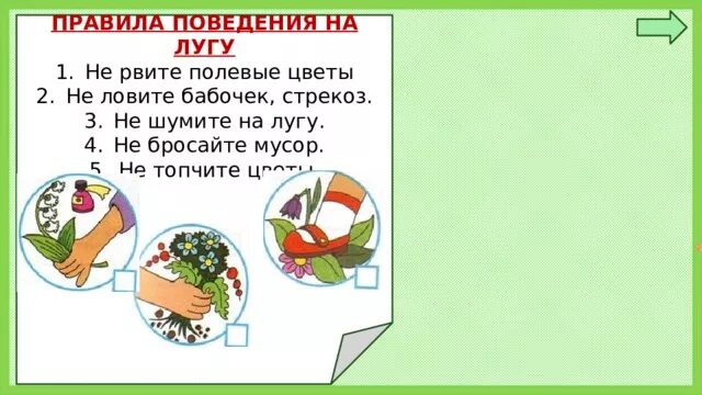 Правилаповедениеналугу. Не ловите бабочек не рвите растения. Почему нельзя рвать цветы. Почему нельзя ловить бабочек.