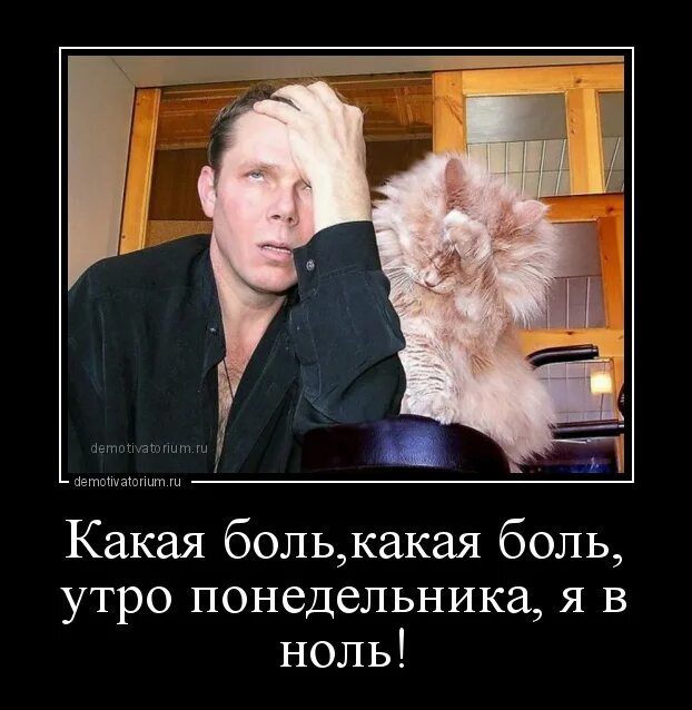 И не болеть с утра по понедельникам. Демотиваторы нулевых.