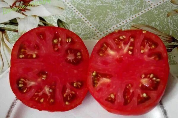 Томаты сорт медвежья лапа отзывы фото Томаты томат медвежья лапа купить по выгодным ценам в интернет-магазине OZON ( Товар на картинке можно купить.