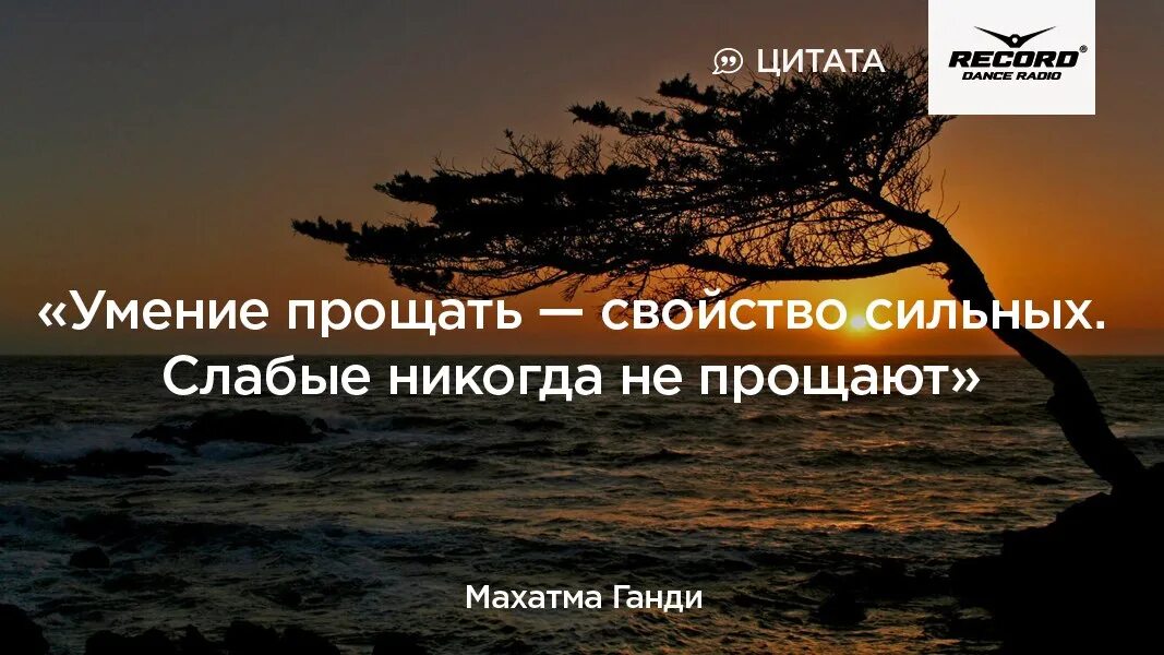 Слабое сильное свойство. Высказывания о прощении. Простить человека цитаты. Умение прощать свойство сильных. Афоризмы о прощении.