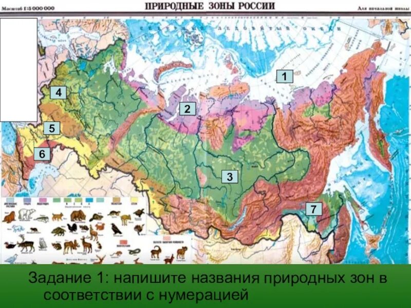 Природные зоны россии по порядку с севера. Тайга карта природные зоны карта. Тайга на карте России природных зон. Карта природных зон России 4 класс окружающий мир. Название природных зон России.