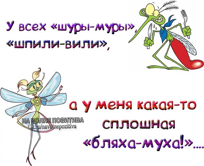 На волне позитива статусы в картинках. Прикольные статусы в картинках. Статусы юмор. Смешные статусы.