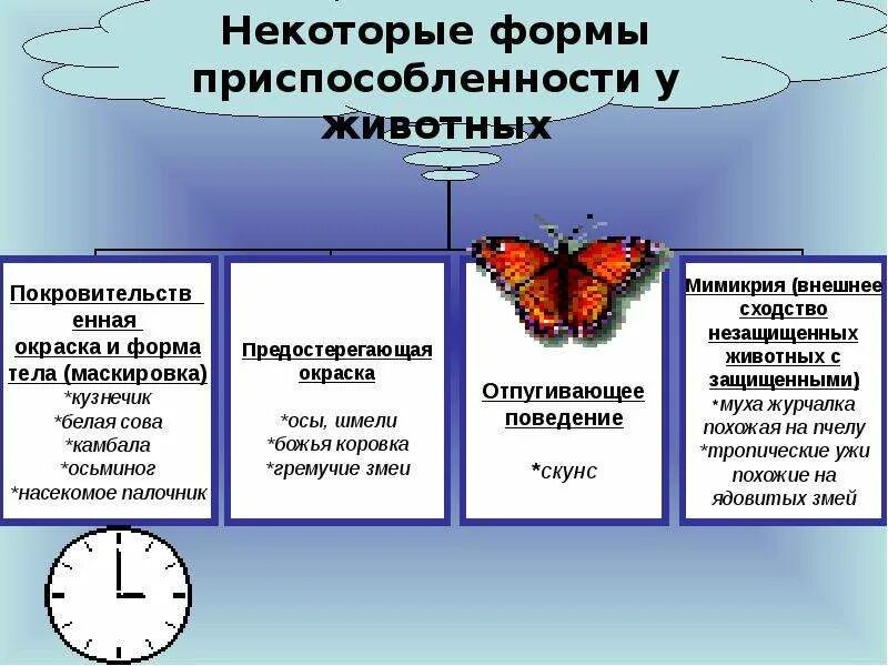 Изменение формы и окраски. Формы приспособленности у животных. Формы приспособленности у животных таблица. Примеры приспособленности. Формы приспособления организмов.