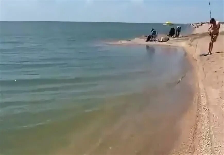 Должанская коса пляж. Азовское море должанка. Коса долгая станица должанская. Станица должанская пляж. Должанка 2024.