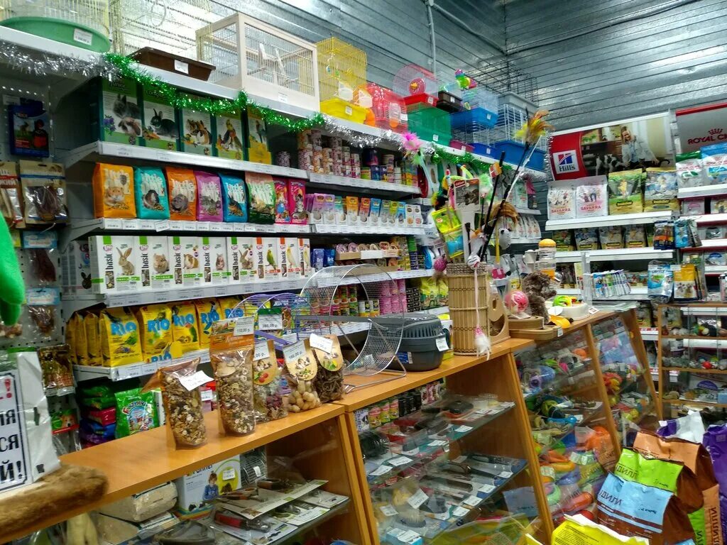 Зоомагазин мир животных. Зоомагазин животные. Магазин животных. Зоомагазин мир животных. Зоомагазин.