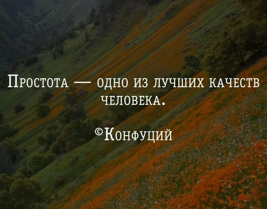 Фразы про простоту. Простота цитаты. Цитаты про простоту человека. Высказывания о простоте человека. Афоризмы качества