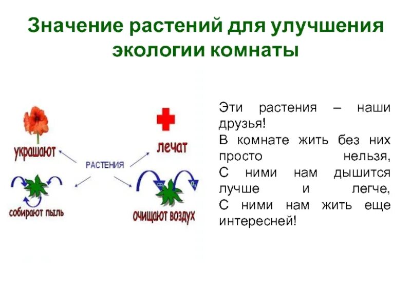 Значение растений. Растения наши друзья. Наша растение. Значение растений для школьников.