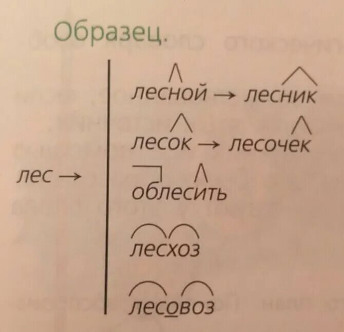 Словообразовательное гнездо. Слоовообразовательноегнездо. Самообразовательное гнездо. Словообразовательное гнездо примеры.