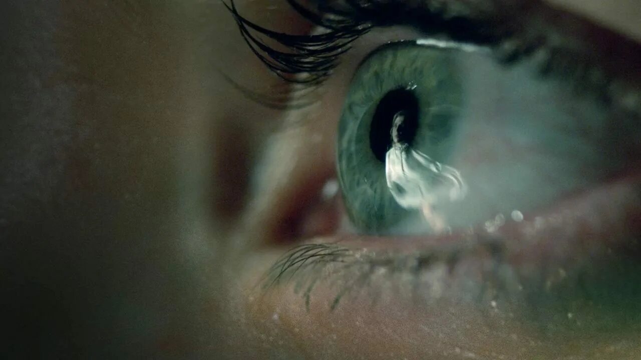 Кадры из фильма я прелесть, живущая в доме (2016). Люси бойнтон 2016. Я прелесть, живущая в доме фильм 2016. Прелесть 2016. Я прелесть, живущая в доме фильм 2016.