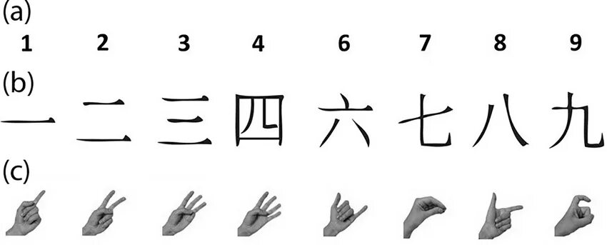Китайские цифры. Иероглифы цифры. Цифры на китайском для детей. Учить китайские цифры. Цифра 5 на китайском