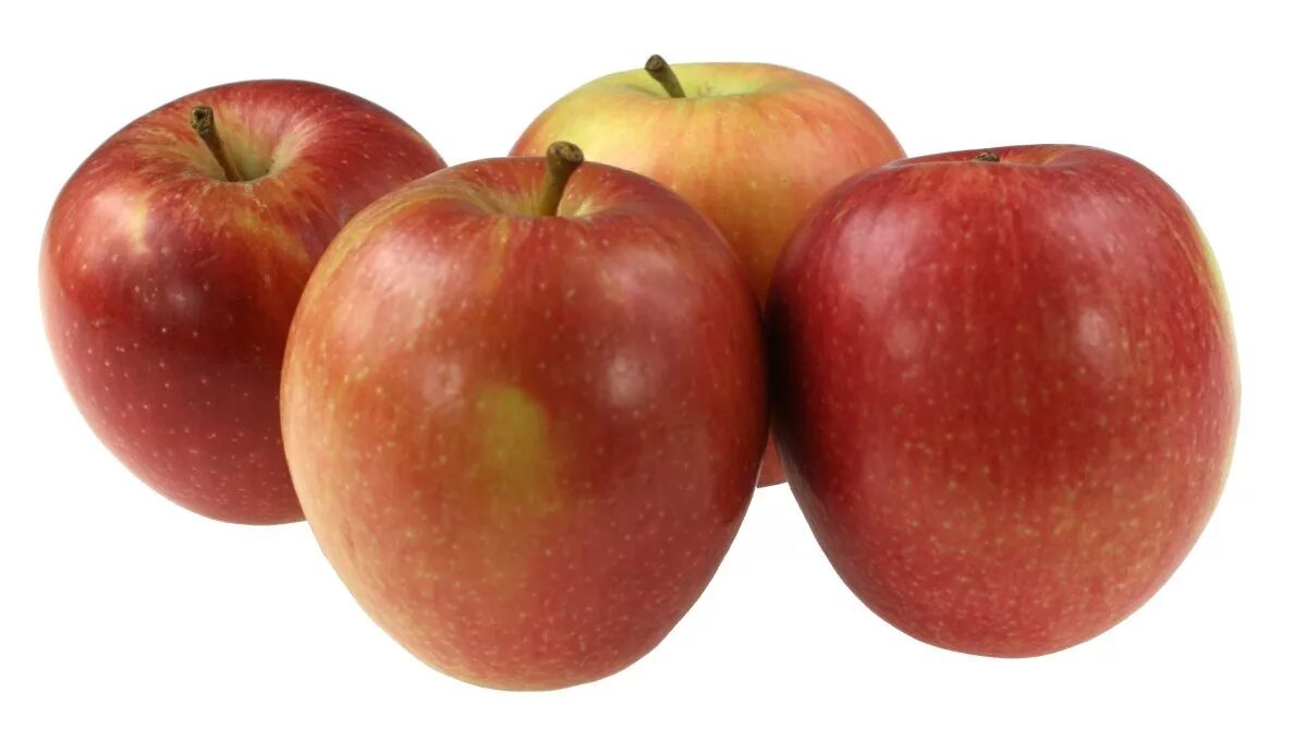 Яблоко в 2 месяца. Яблоко. Четыре яблока. Яблоки сезонные. Яблоко на белом фоне.