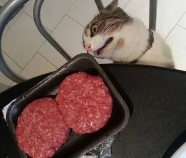 Сами едят котлеты