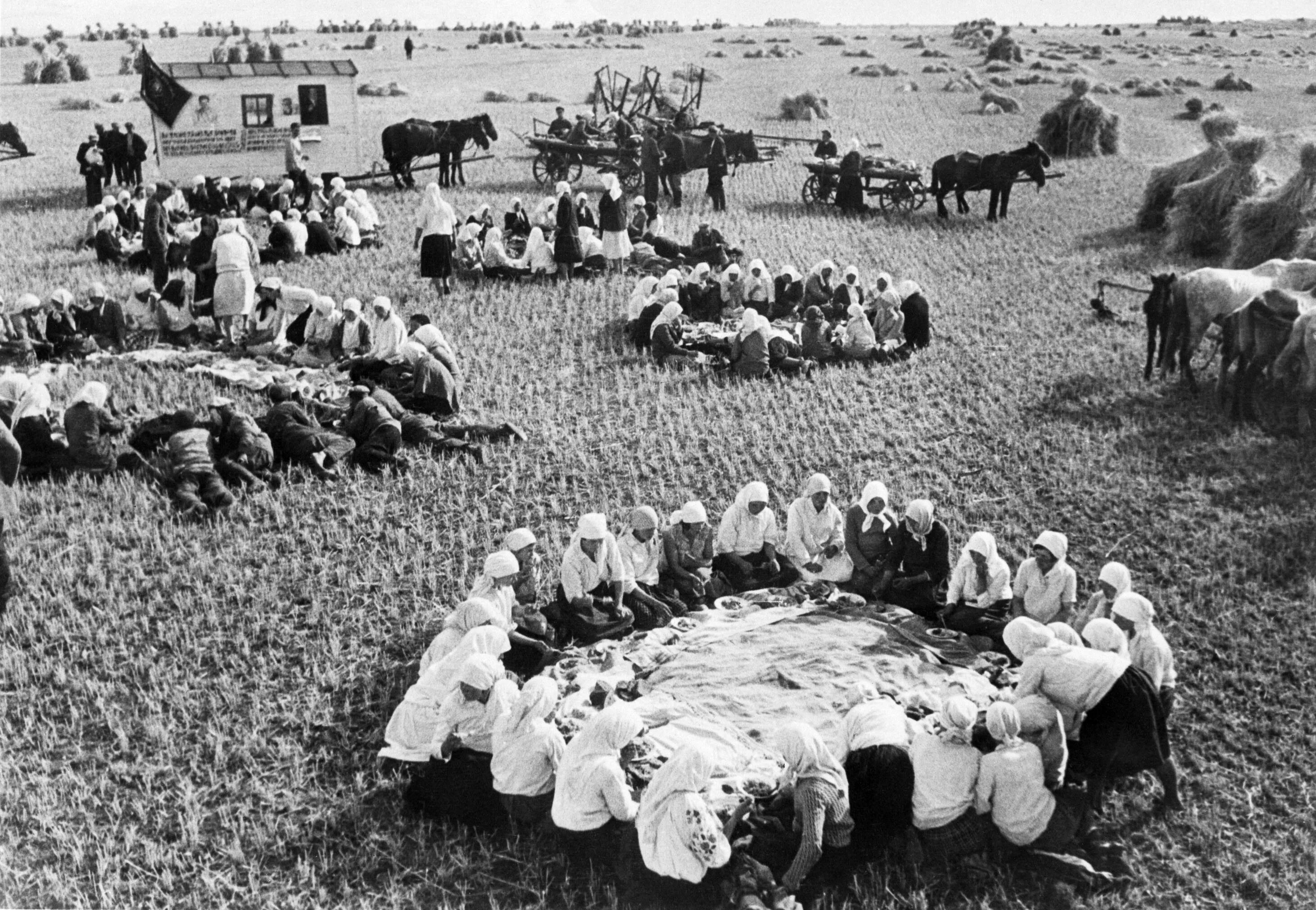 Сельское хозяйство в 20-30 годы в СССР. Сельское хозяйство в 1930 годы СССР. Сельское хозяйство СССР 1930е. Коллективизация колхозы. Сельское хозяйство в послевоенное время