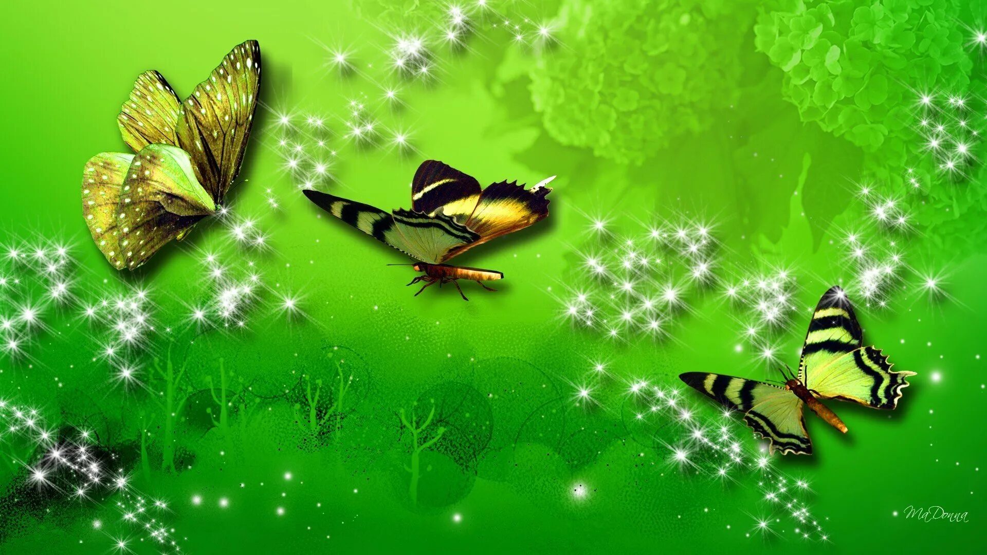 Живые обои зеленые. Обои с бабочками. Фон бабочки. Бабочка на зеленом фоне. Обои на рабочий стол бабочки.