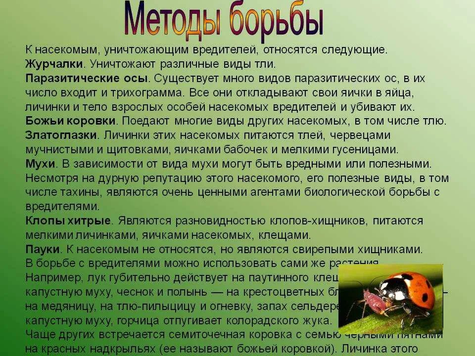 Биологический метод борьбы с вредителями и болезнями растений. Способы борьбы с вредителями биология 7 класс. Методы борьбы с вредителями. Метод борьбы с насекомыми вредителями.