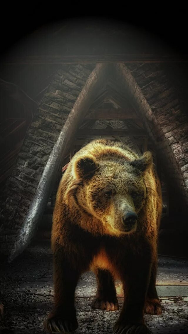 Русский медведь телефон. Медведь. Медведь на заставку. Русский медведь. Оскал медведя.