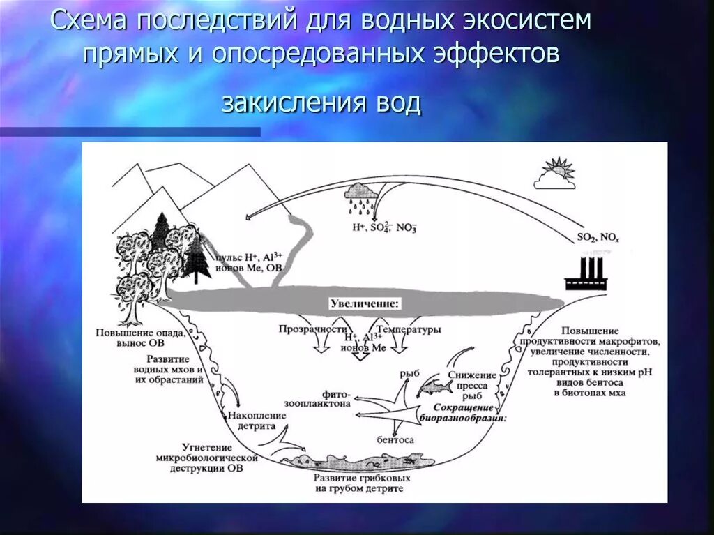 Изменения в водных экосистемах. Экосистема схема. Экосистема водоема схема. Структура водной экосистемы. Структура экосистемы водоема.