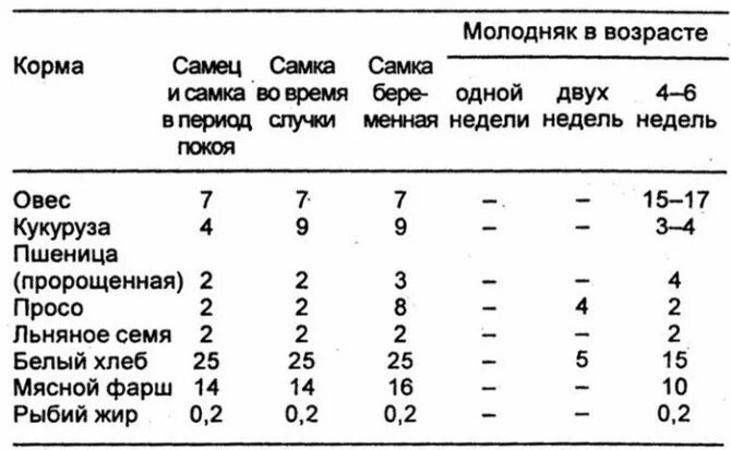 Сколько кормить крысу