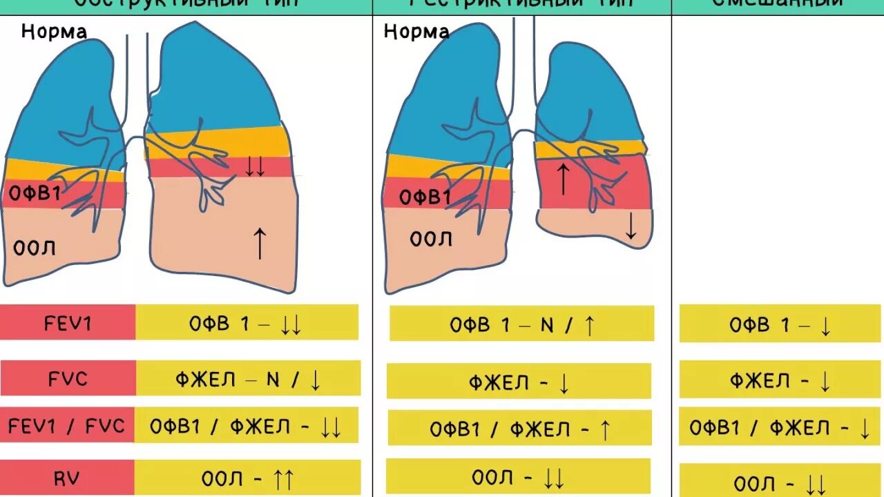 Обструктивный и рестриктивный типы. Рестриктивный и обструктивный Тип дыхательной. Обструктивный и рестриктивный типы дыхательной недостаточности. Нарушение дыхания по рестриктивному типу. Нарушение легких по обструктивному типу