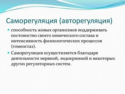 Лабораторная работа 1 механизмы саморегуляции