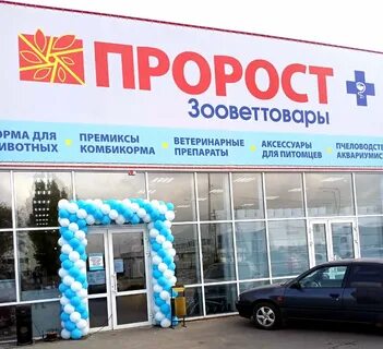 Пророст ростов на дону каталог товаров