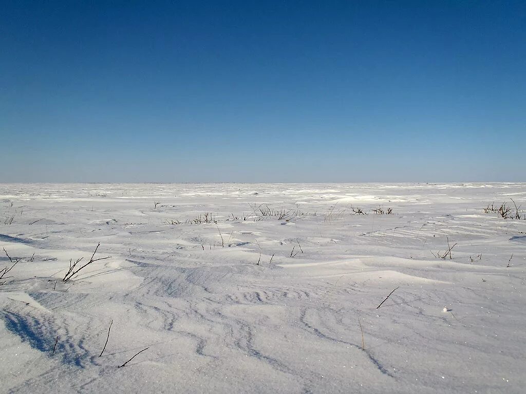 Травянистые равнины морозная зима