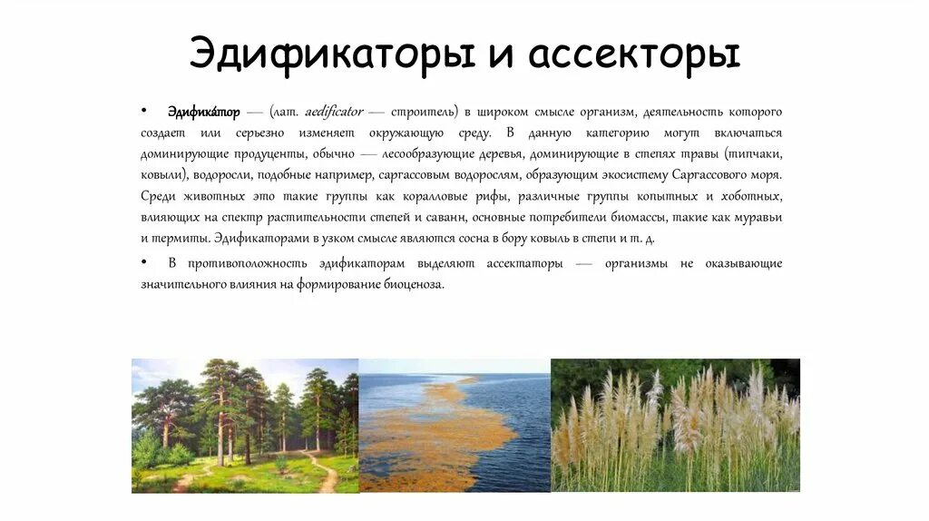 Мозаичное строение сообщества обусловлено. Виды эдификаторы примеры. эдификаторами сообщества называют виды. эдификатор это в биологии. эдификаторы саванн.