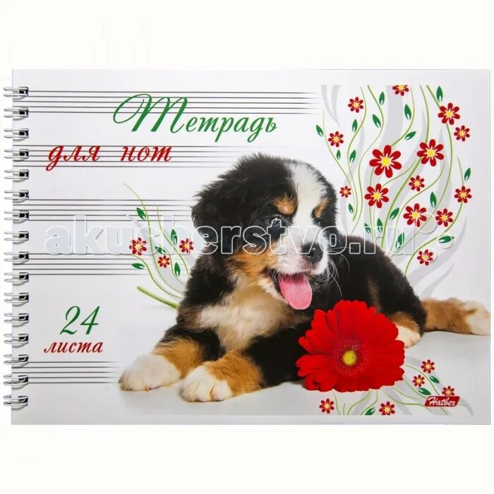 тетради 48 листов с собаками unnika land. тетрадь щенок. тетради 48 листов озорные щенки.