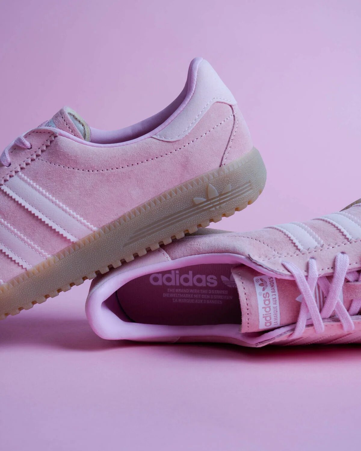 Adidas bermuda розовые. Adidas bermuda burgundy. Adidas bermuda pink. Adidas bermuda burgundy. Адидас бермуда кеды.