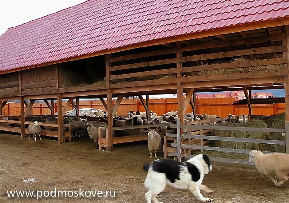 Лпх усадьба