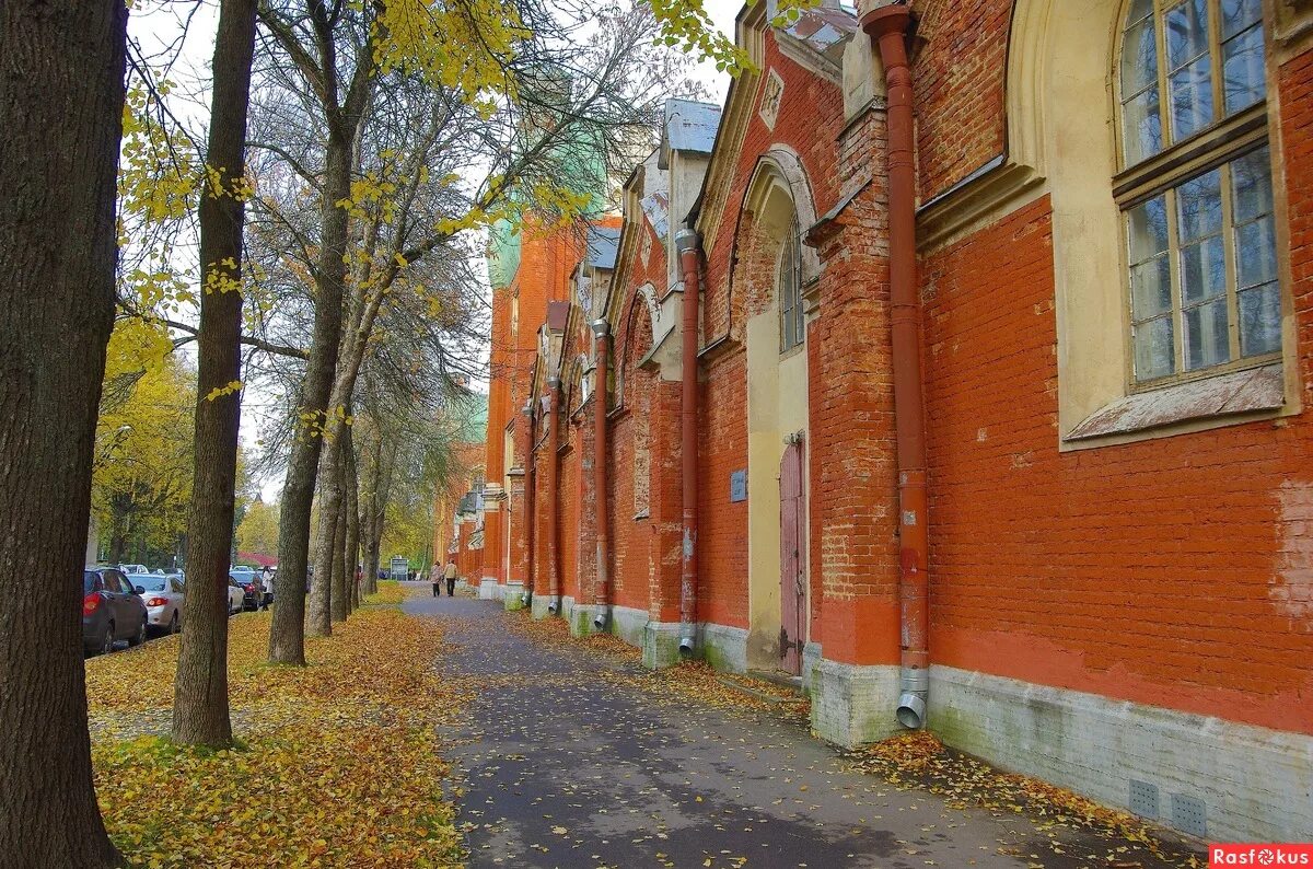 Петергоф аврова. Ул Аврова Петергоф. Новый Петергоф ул Аврова. Россия, Санкт-Петербург, Петергоф, улица Аврова. Площадь Аврова в Петергофе.