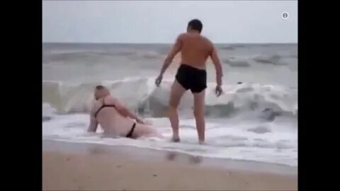Дельфины в ураган слова