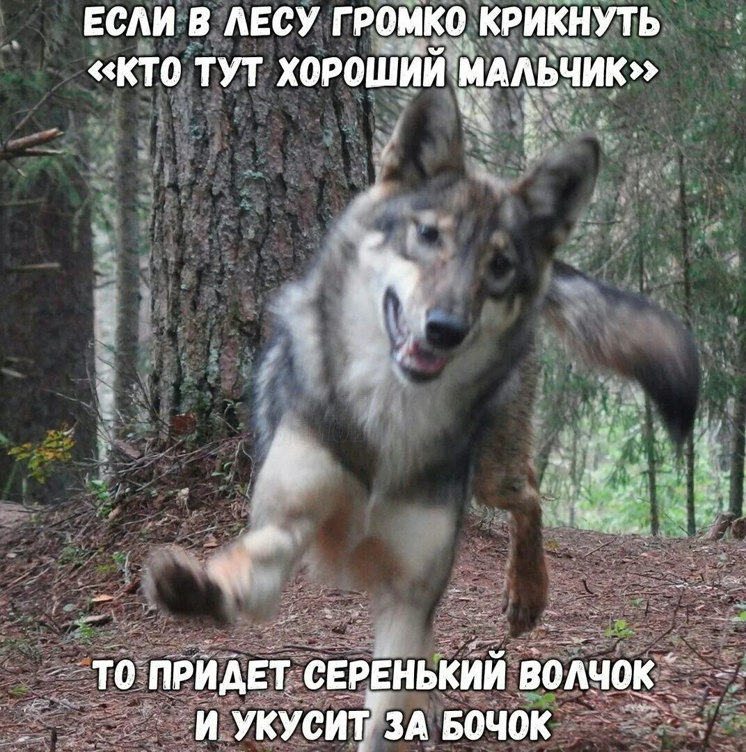 Picture background